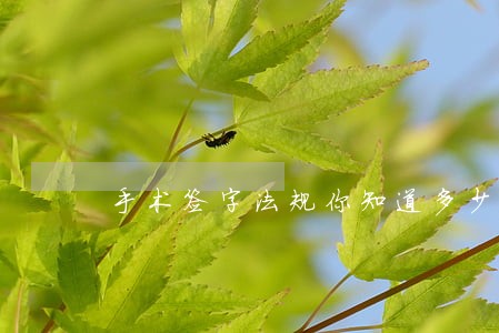 手术签字法规你知道多少 手术签字法规你知道多少