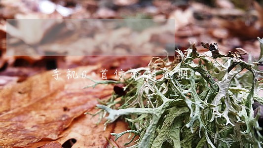 手机0首付分期逾期 手机0首付分期逾期