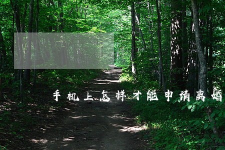 手机上怎样才能申请离婚 手机上怎样才能申请离婚
