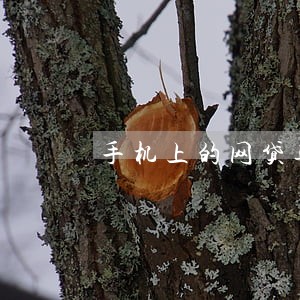 手机上的网贷逾期了怎么办 手机上的网贷逾期了怎么办
