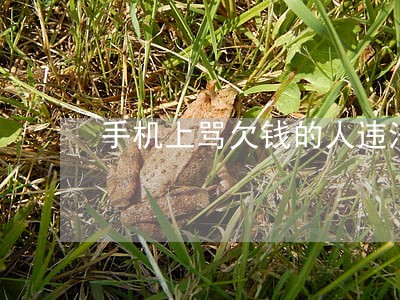 手机上骂欠钱的人违法吗 手机上骂欠钱的人违法吗