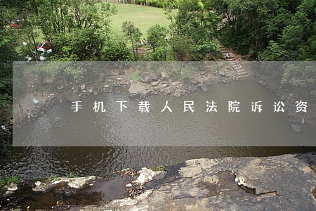 手机下载人民法院诉讼资产网