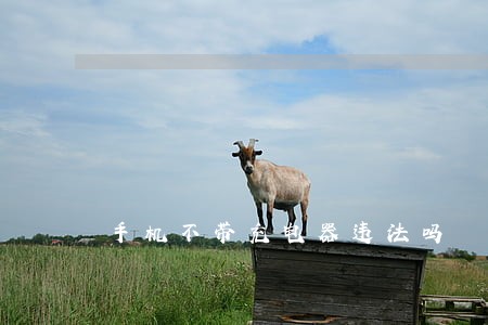 手机不带充电器违法吗 手机不带充电器违法吗