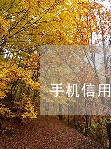 手机信用卡逾期了怎样恢复征信 手机信用卡逾期了怎样恢复征信