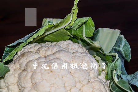 手机信用租逾期了 手机信用租逾期了