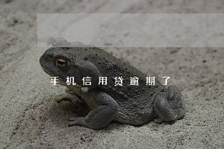 手机信用贷逾期了