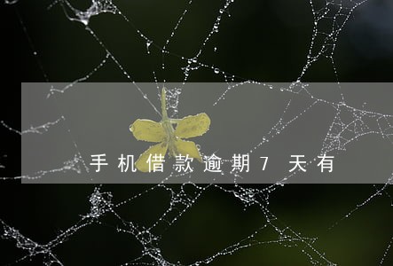 手机借款逾期7天有 手机借款逾期7天有