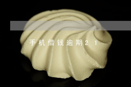 手机借钱逾期21
