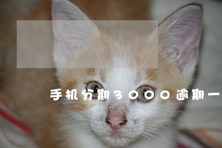 手机分期3000逾期一个月 手机分期3000逾期一个月