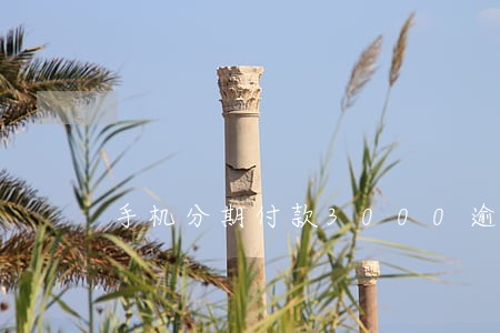 手机分期付款3000逾期两年了 手机分期付款3000逾期两年了
