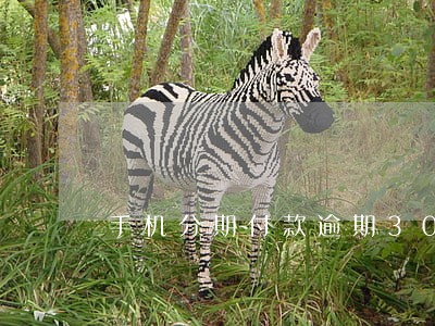 手机分期付款逾期30天 手机分期付款逾期30天