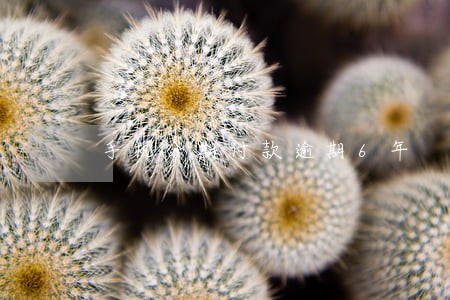 手机分期付款逾期6年 手机分期付款逾期6年