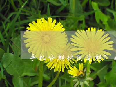手机分期付款逾期7天 手机分期付款逾期7天