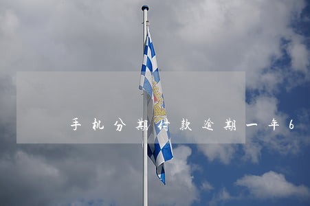手机分期付款逾期一年6 手机分期付款逾期一年6