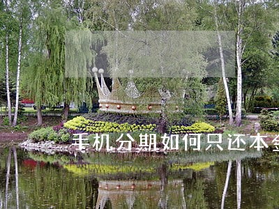 手机分期如何只还本金
