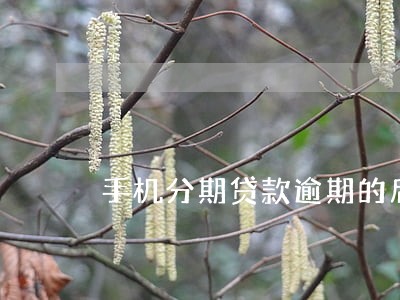 手机分期贷款逾期的后果