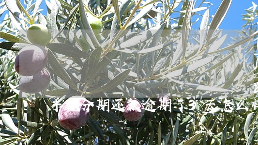 手机分期还款逾期了3天怎么样 手机分期还款逾期了3天怎么样
