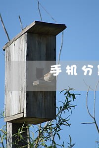 手机分期逾期10天会怎么 手机分期逾期10天会怎么