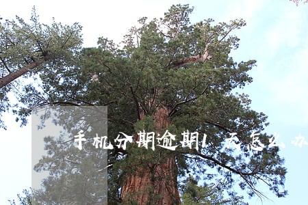 手机分期逾期1天怎么办 手机分期逾期1天怎么办