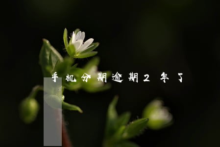 手机分期逾期2年了 手机分期逾期2年了