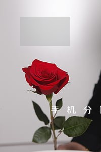 手机分期逾期2年怎么还钱 手机分期逾期2年怎么还钱