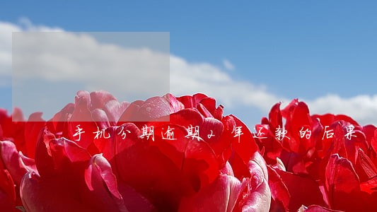 手机分期逾期2年还款的后果 手机分期逾期2年还款的后果