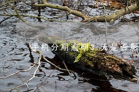 手机分期逾期3天是否影响征信 手机分期逾期3天是否影响征信