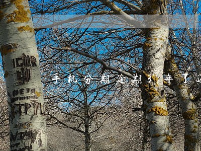 手机分期逾期3年了还会上征信吗 手机分期逾期3年了还会上征信吗