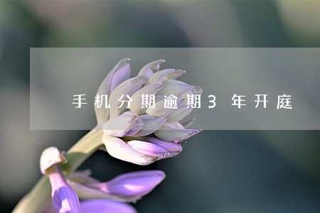 手机分期逾期3年开庭 手机分期逾期3年开庭