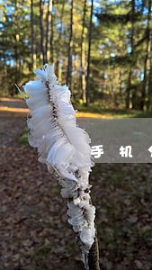 手机分期逾期3次还能分期 手机分期逾期3次还能分期