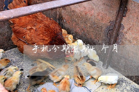 手机分期逾期4个月 手机分期逾期4个月