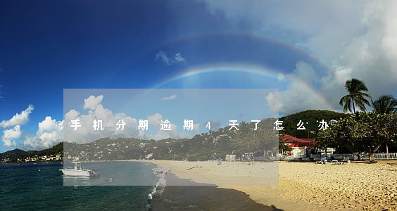 手机分期逾期4天了怎么办 手机分期逾期4天了怎么办