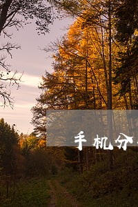 手机分期逾期4年没还 手机分期逾期4年没还
