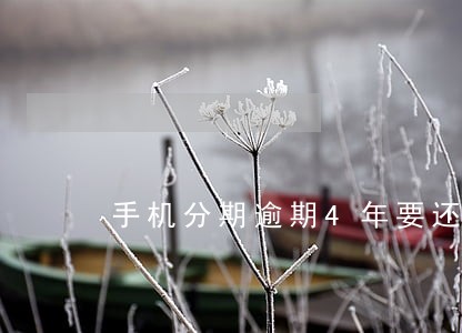 手机分期逾期4年要还多少钱 手机分期逾期4年要还多少钱