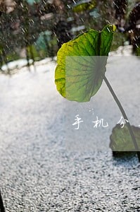 手机分期逾期4次 手机分期逾期4次