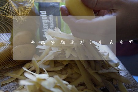 手机分期逾期60天有哪些后果 手机分期逾期60天有哪些后果
