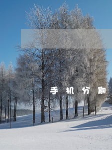 手机分期逾期630天怎么办