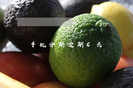 手机分期逾期6天 手机分期逾期6天