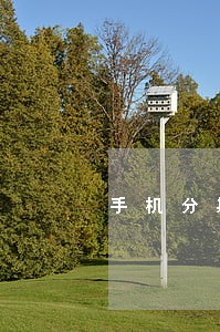 手机分期逾期6天怎么办 手机分期逾期6天怎么办