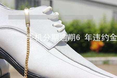 手机分期逾期6年违约金 手机分期逾期6年违约金