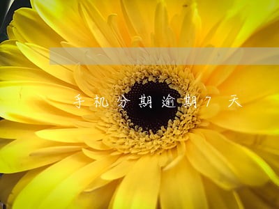 手机分期逾期7天 手机分期逾期7天