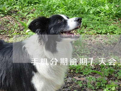 手机分期逾期7天会上征信吗 手机分期逾期7天会上征信吗