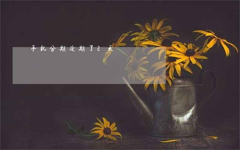 手机分期逾期了2天 手机分期逾期了2天