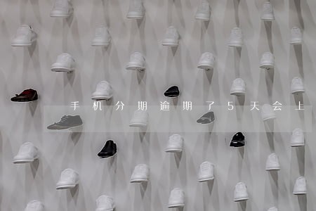 手机分期逾期了5天会上征信吗 手机分期逾期了5天会上征信吗