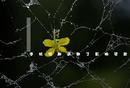 手机分期逾期了影响贷款吗吗 手机分期逾期了影响贷款吗吗