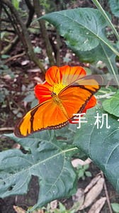 手机分期逾期了能办银行卡吗 手机分期逾期了能办银行卡吗