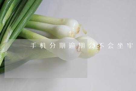手机分期逾期会不会坐牢6 手机分期逾期会不会坐牢6