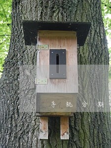 手机分期逾期会影响信用吗 手机分期逾期会影响信用吗
