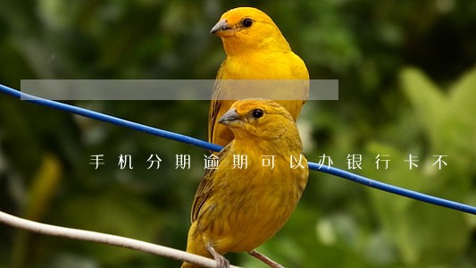 手机分期逾期可以办银行卡不 手机分期逾期可以办银行卡不