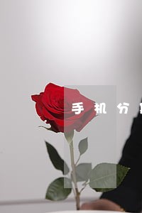 手机分期逾期未还能贷网贷吗 手机分期逾期未还能贷网贷吗